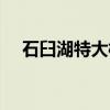 石臼湖特大桥（关于石臼湖特大桥介绍）