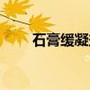 石膏缓凝剂（关于石膏缓凝剂介绍）