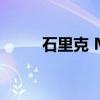 石里克 M.（关于石里克 M.介绍）