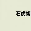 石虎胡同（关于石虎胡同介绍）