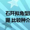 石阡拟角型珊瑚 比较种（关于石阡拟角型珊瑚 比较种介绍）