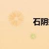石阴姬（关于石阴姬介绍）