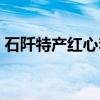 石阡特产红心李（关于石阡特产红心李介绍）