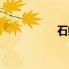 石鲸（关于石鲸介绍）