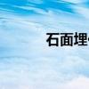 石面埋伏（关于石面埋伏介绍）