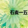 石麦一五号（关于石麦一五号介绍）
