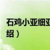 石鸡小亚细亚亚种（关于石鸡小亚细亚亚种介绍）
