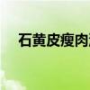 石黄皮瘦肉汤（关于石黄皮瘦肉汤介绍）
