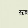 石顶村(关于石顶村介绍) 石顶村(关于石顶村介绍)
