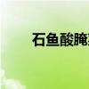 石鱼酸腌菜（关于石鱼酸腌菜介绍）