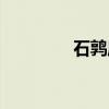 石鹑属（关于石鹑属介绍）