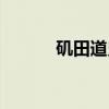 矶田道史（关于矶田道史介绍）