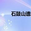 石鼓山遗址（关于石鼓山遗址介绍）