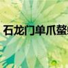 石龙门单爪螯蜂（关于石龙门单爪螯蜂介绍）