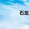 石龙集（关于石龙集介绍）