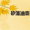 矽藻油壶菌（关于矽藻油壶菌介绍）