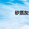 矽质灰岩（关于矽质灰岩介绍）
