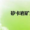 矽卡岩矿床(关于矽卡岩矿床介绍) 矽卡岩矿床(关于矽卡岩矿床介绍)