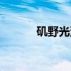 矶野光沙（关于矶野光沙介绍）