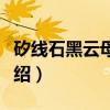 矽线石黑云母片岩（关于矽线石黑云母片岩介绍）