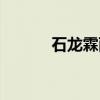 石龙霖雨（关于石龙霖雨介绍）
