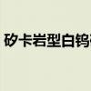 矽卡岩型白钨矿（关于矽卡岩型白钨矿介绍）