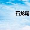 石龙尾属（关于石龙尾属介绍）