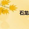 石龙胆（关于石龙胆介绍）