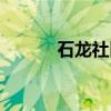石龙社区（关于石龙社区介绍）