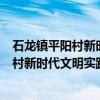 石龙镇平阳村新时代文明实践志愿服务队（关于石龙镇平阳村新时代文明实践志愿服务队介绍）