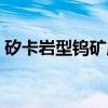 矽卡岩型钨矿床（关于矽卡岩型钨矿床介绍）