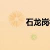 石龙岗村（关于石龙岗村介绍）
