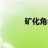 矿化角岩（关于矿化角岩介绍）