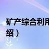 矿产综合利用技术（关于矿产综合利用技术介绍）