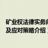 矿业权法律实务问题及应对策略（关于矿业权法律实务问题及应对策略介绍）
