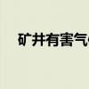 矿井有害气体（关于矿井有害气体介绍）