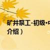 矿井泵工-初级·中级·高级（关于矿井泵工-初级·中级·高级介绍）