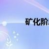 矿化阶段（关于矿化阶段介绍）