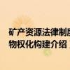 矿产资源法律制度的物权化构建（关于矿产资源法律制度的物权化构建介绍）