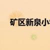 矿区新泉小学(关于矿区新泉小学介绍) 矿区新泉小学(关于矿区新泉小学介绍)