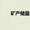 矿产储量表（关于矿产储量表介绍）