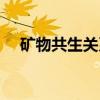 矿物共生关系（关于矿物共生关系介绍）