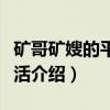 矿哥矿嫂的平凡生活（关于矿哥矿嫂的平凡生活介绍）