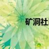 矿洞社区（关于矿洞社区介绍）