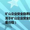 矿山企业安全隐患防范改造工程建设及相关强制性条文标准规范全集（关于矿山企业安全隐患防范改造工程建设及相关强制性条文标准规范全集介绍）