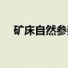 矿床自然参数（关于矿床自然参数介绍）