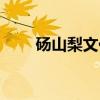砀山梨文化（关于砀山梨文化介绍）