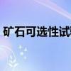 矿石可选性试验（关于矿石可选性试验介绍）