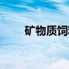 矿物质饲料（关于矿物质饲料介绍）