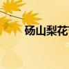 砀山梨花节(关于砀山梨花节介绍) 砀山梨花节(关于砀山梨花节介绍)